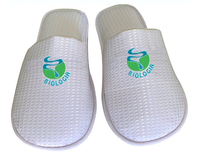 https://www.personalizaveis.com.br/content/interfaces/cms/userfiles/00412/produtos/pantufas-personalizadas-pantufas-bordadas-pantufas-estampadas-chinelos-de-hospital-chinelos-de-hote-258.jpg